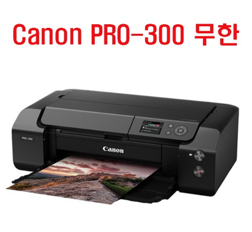 Canon PRO-300 무한 잉크 장착 10색 안료잉크 포함  프린터