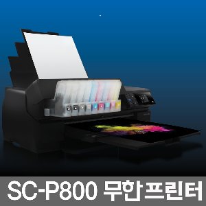 EPSON SC-P800 유지보수 4종 전용 결제창