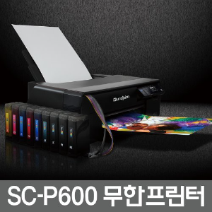 EPSON SC-P600 유지보수 4종 전용 결제창